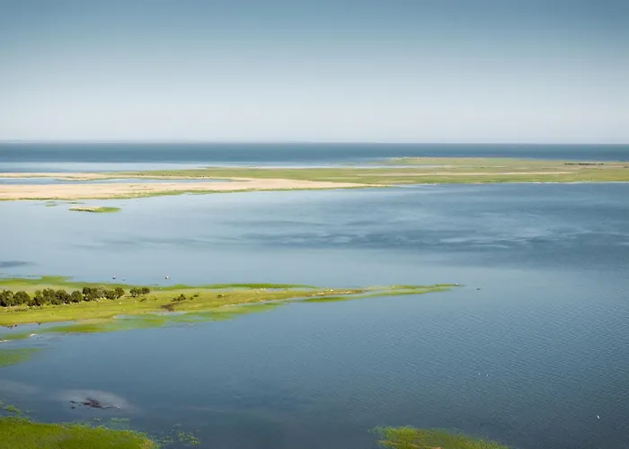 فيلة Dharma Rassa