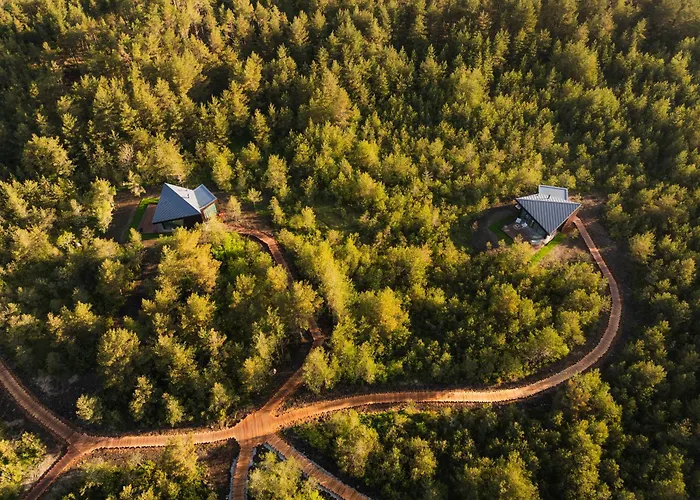 Dharma فيلة Rassa