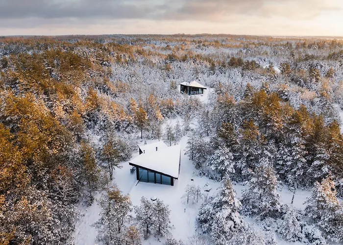 فيلة Dharma Rassa